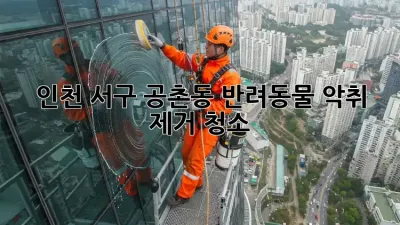 인천 서구 공촌동 반려동물 악취 제거 청소